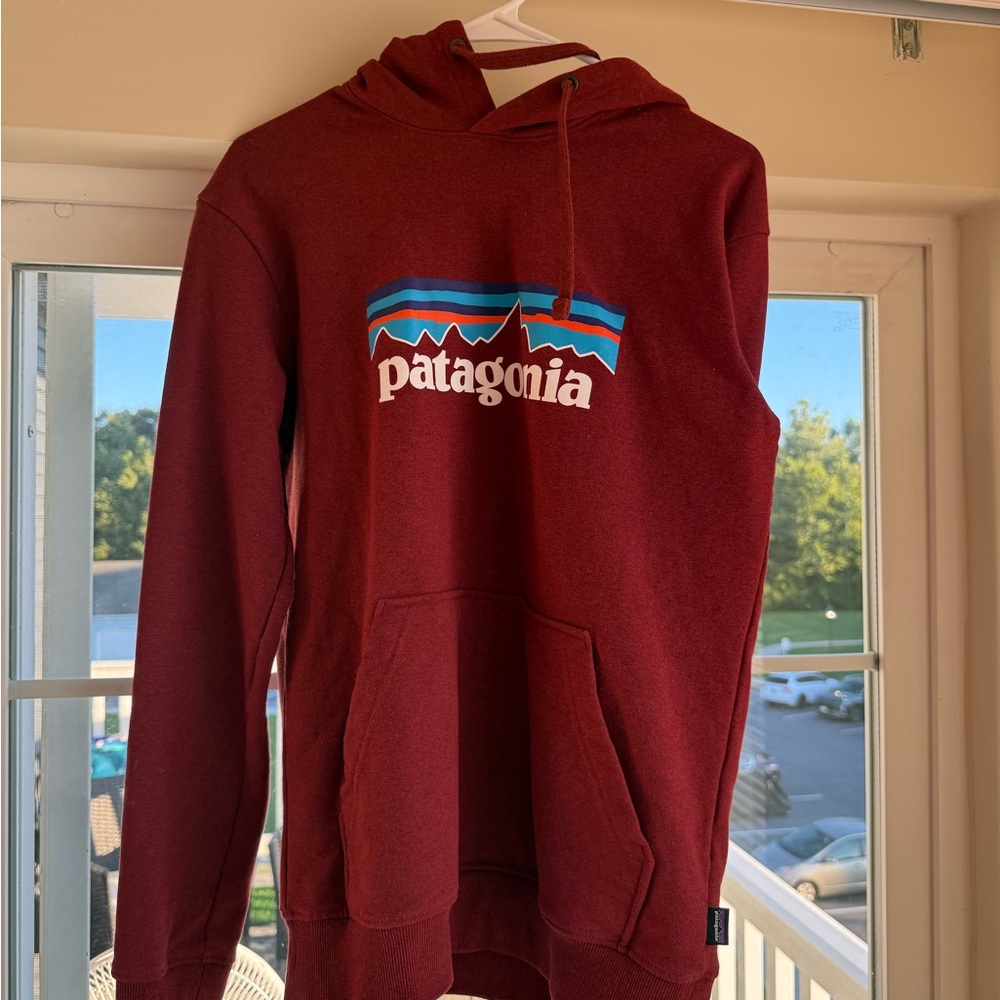 Patagonia Men's Burgundy Hoodie